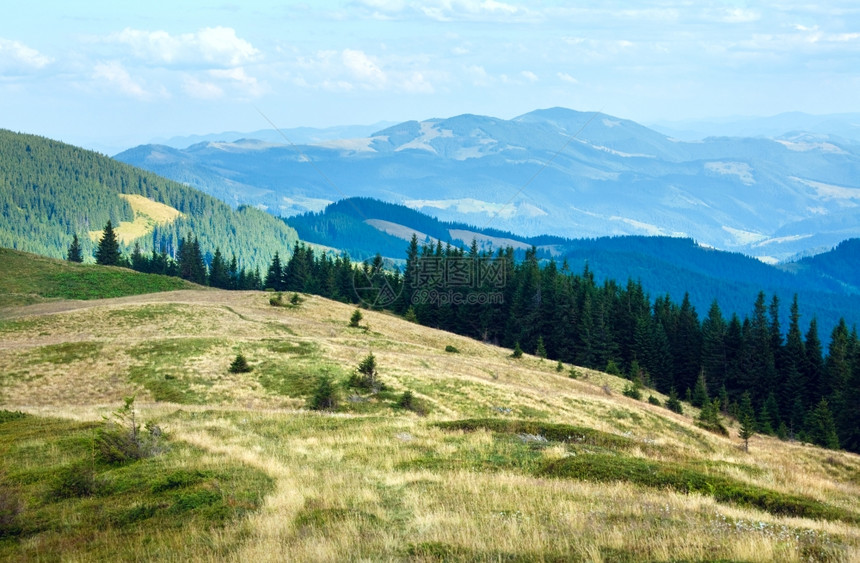 山坡上有森林的夏季薄雾山地景观喀尔巴阡山乌克兰图片