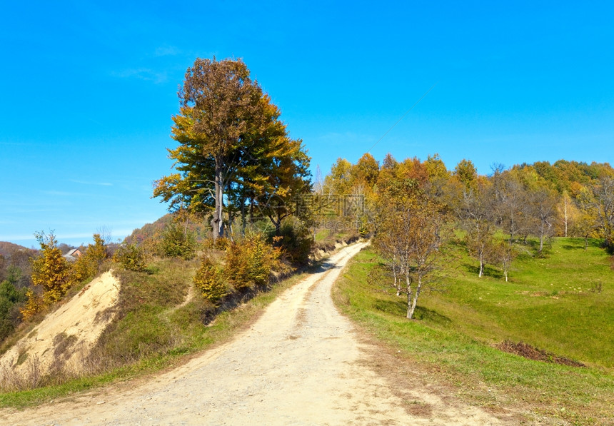 与乡村公路喀尔巴阡山乌克兰相邻的秋山景图片