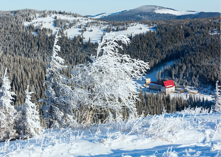 冬季山地风景清晨坡上有雪树图片