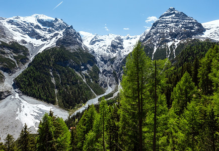 StelvioScast意大利山边有森林和雪意大利图片