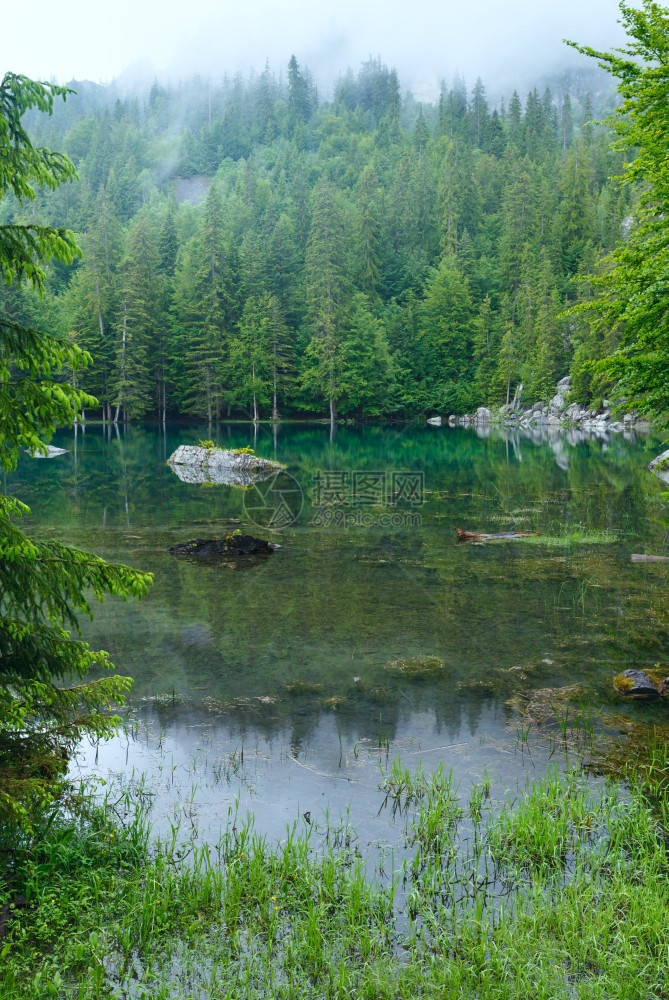 弗朗茨阿尔卑斯山的小型林湖夏季早晨图片