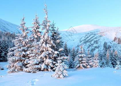 粉色日出和冬季山地景观斜坡上有雪覆盖的山壁树背景图片