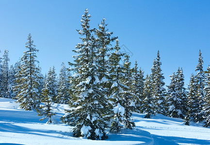 冬季山林风雪景观帕佩格诺巴恩山顶奥地利费尔兹穆斯高清图片