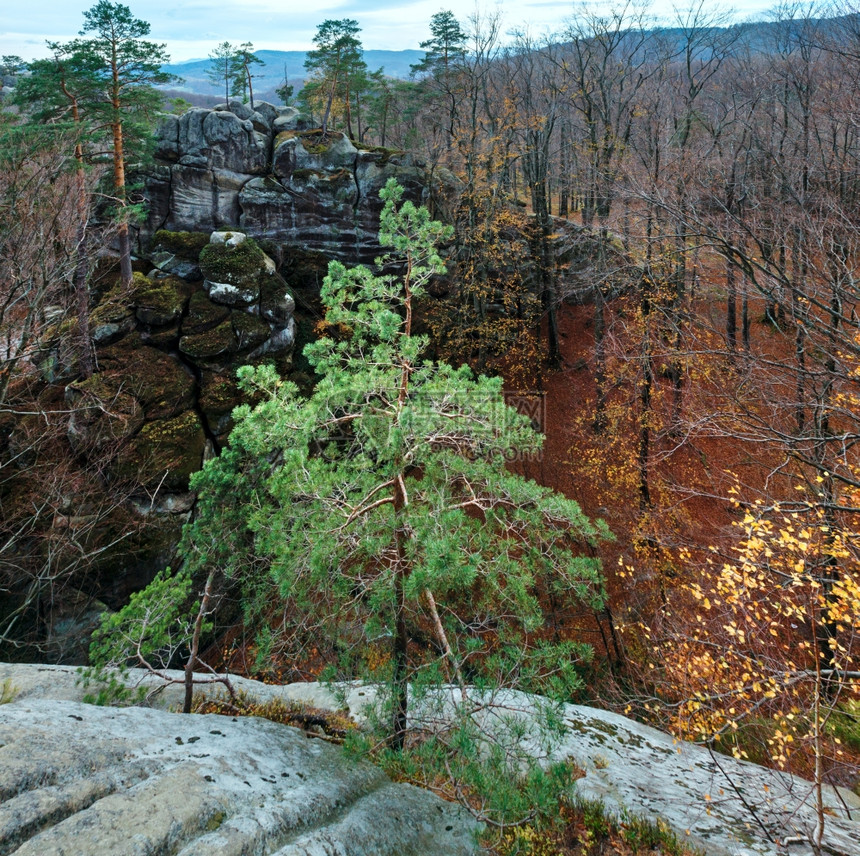 从大石头顶部SkeliDovbusha伊万诺弗兰科夫斯克地区乌兰的秋山森林观图片