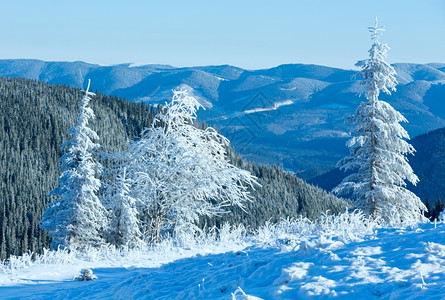 冬季山地风景清晨坡上有雪树图片