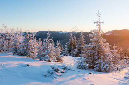 粉色日出和冬季山区景观乌克兰喀尔巴阡山图片
