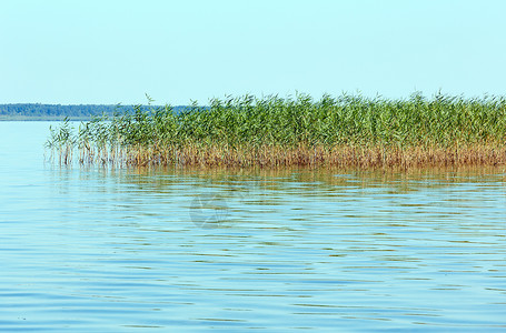 沙茨夏季匆忙湖景SvityazShatsky自然公园乌克兰背景