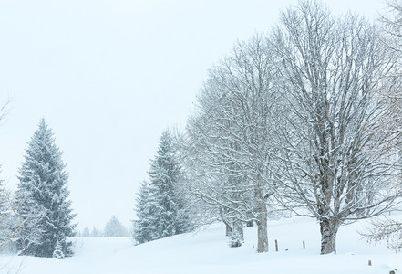 寒冬的山雾雪林下背景图片