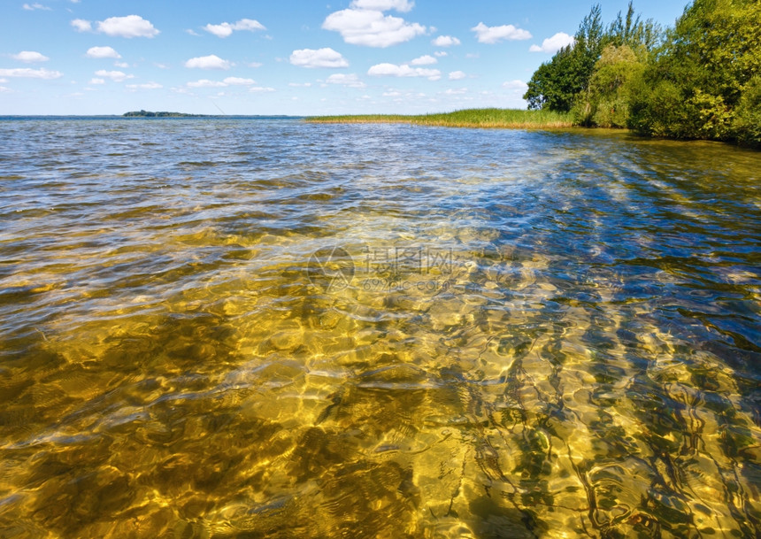 夏季湖景SvityazShatsky自然公园乌克兰图片