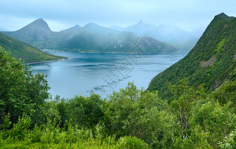 夏季Senja海岸挪威视图图片
