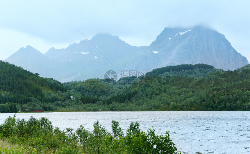 山坡上森林的Fjord夏季阴云挪威图片