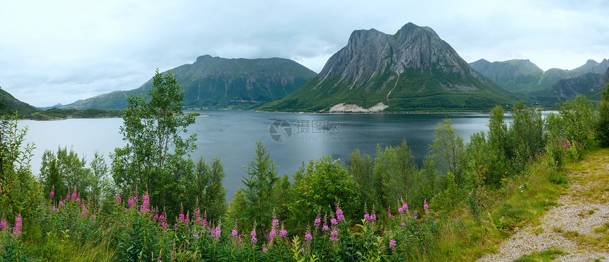 Fjord夏天的阴云前面有花朵挪威图片