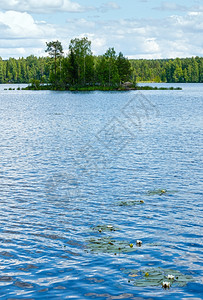 Rutajarvi湖夏季风景边上和利里带森林芬兰乌贾拉图片