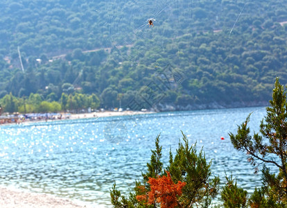 夏日海滩背景上的蜘蛛希腊凯法洛尼亚图片