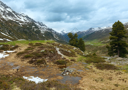 夏季山地景观有长凳和松树瑞士福卢拉山高清图片
