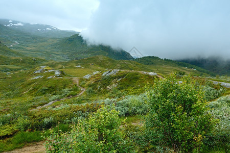 挪威北部山丘夏季多云的苔原景图片