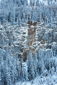 山坡上的雪树和冰冻瀑布图片
