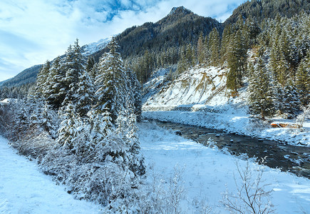 冬季河边有雪树和图片