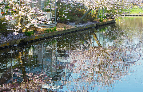 春天公园的运河旁流淌着鲜花图片