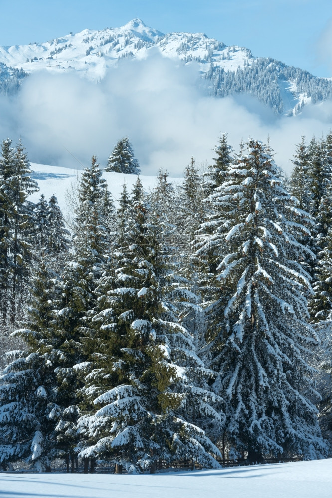 山坡上有低悬浮云的冬季山区景观奥地利巴伐亚图片