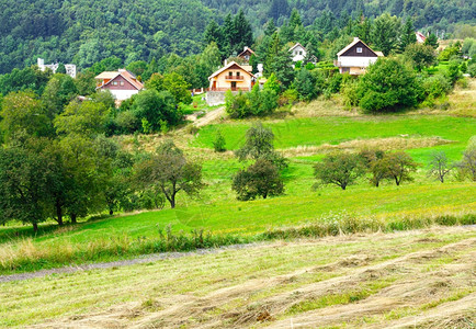 干草领域观看BanskaStiavnica斯洛伐克草地上的干草背景
