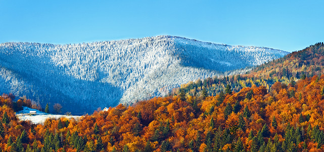 黄色阳光明媚的秋天山林和第一个秋天的霜冻和雪在遥远的山边图片