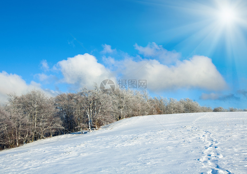 10月山尖森林边缘第一次冬雪蓝天的阳光图片