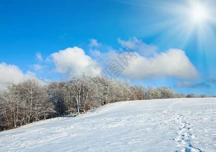 10月山尖森林边缘第一次冬雪蓝天的阳光图片