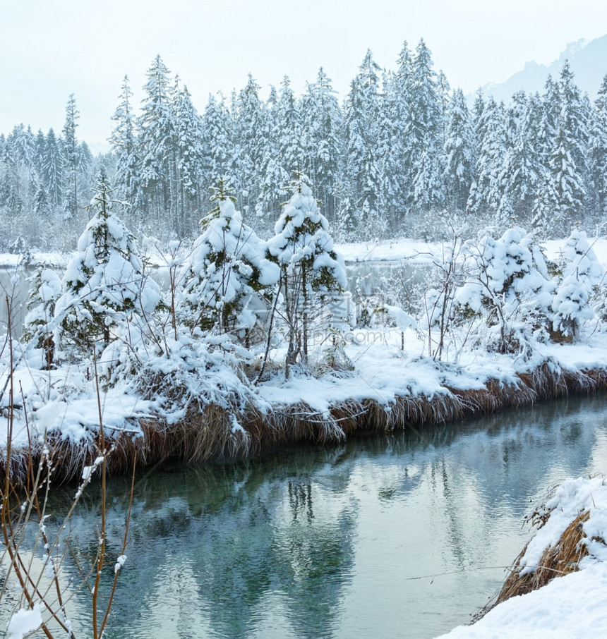 冬季小溪河岸上有雪树图片