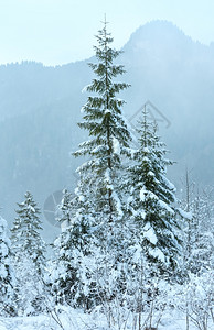 山脚边的雪树阴暗云雾日背景图片