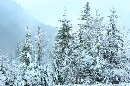 山脚边的雪树阴暗云雾日背景图片