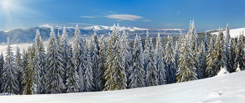 冬季平静的山地风景雪覆盖了树木和阳光图片