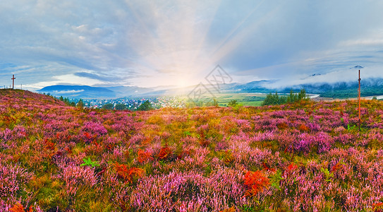 9月日出脚下山丘全景配有羊花木十字和阳光乌克兰利沃夫州背景图片
