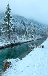 小的冬天透明溪流河岸上有雪树云雾般的天气图片