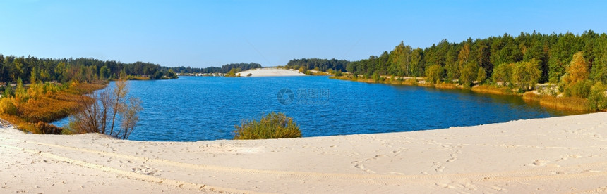 秋天湖带沙滩和林白俄罗斯图片