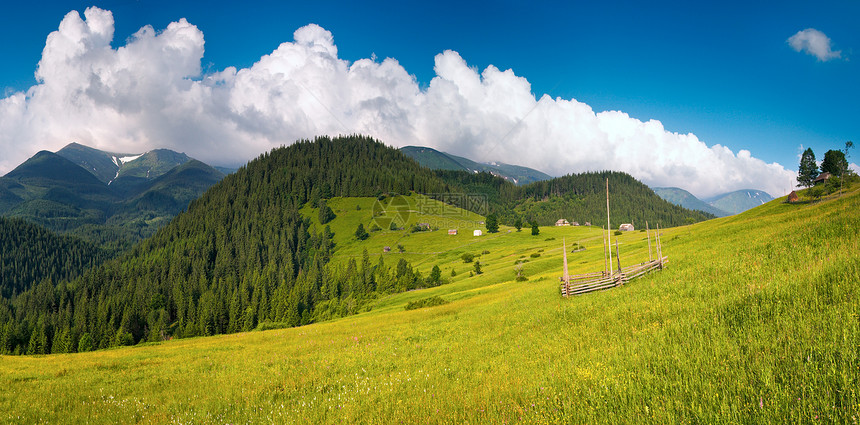 与农舍开花的夏季山林绿草地喀尔巴阡山乌克兰图片