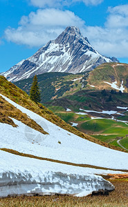 夏季山和雪融化草地风景奥利沃斯拉尔贝格图片