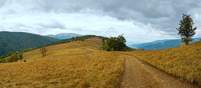 喀尔巴阡山脉乌克兰秋季风景与乡村公路全景图片