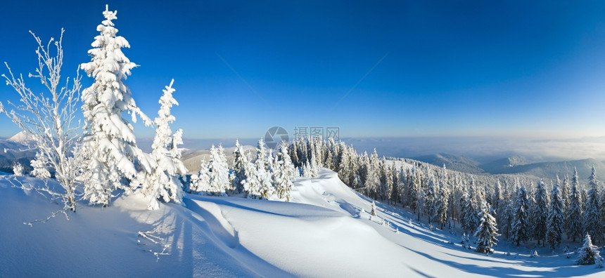 喀尔巴阡山冬季平静的雪景观图片