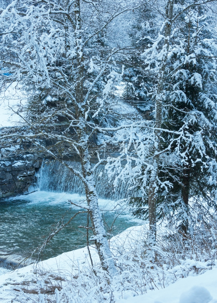 温山流和雪树奥地利图片