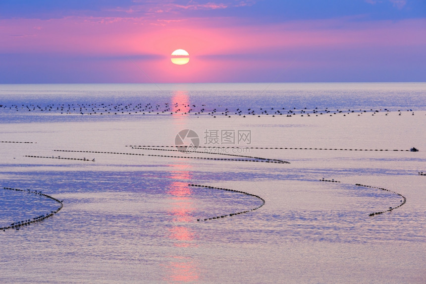 美丽的迷人清晨海景与日出太阳轨道在地表和渔网上图片