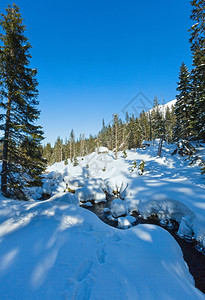 小山流冬季雪地岩坡上有森林图片