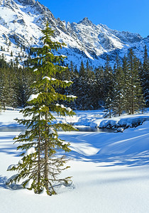 小山流冬季雪地岩坡上有森林图片