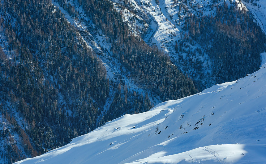 温雪山坡风景与森林图片