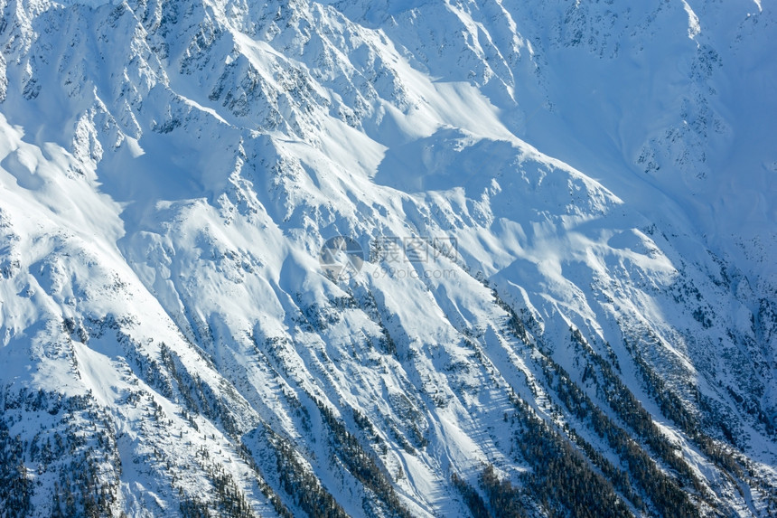 在有森林的雪坡上奥地利提洛尔从木屋滑雪升起的降机上进行风采奥地利提洛尔图片