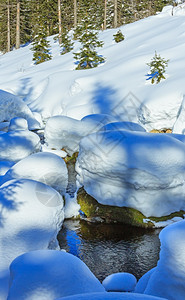 有雪流和森林的小山流图片