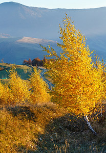 前山坡和后面农村公路上的山坡秋色地貌和黄树图片