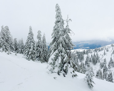 在多云的天气下喀尔巴阡山冬季丘上图片
