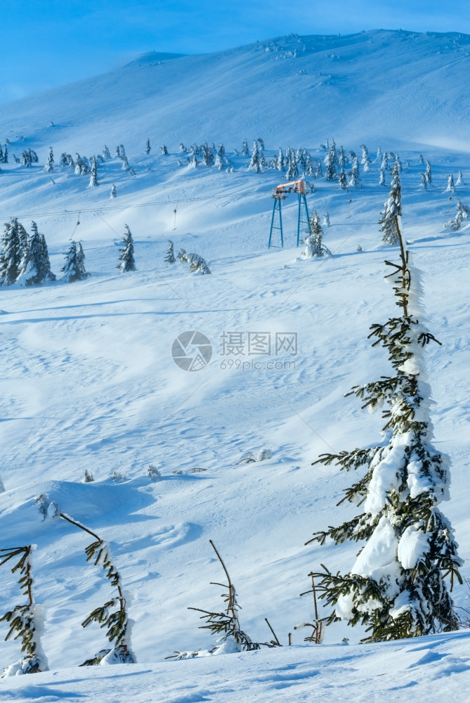 冬天早上斜坡雪地的树和滑电梯图片