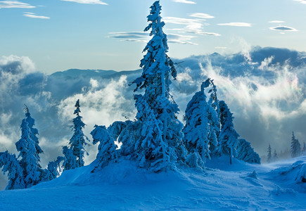 寒冬清晨山上的冰冷雪林在多云的薄雾天气下图片